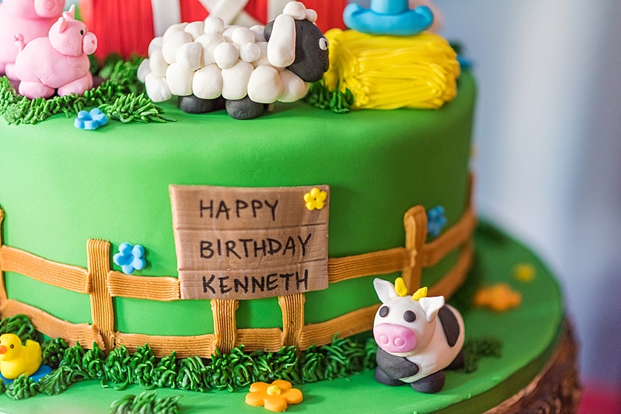 animal birthday cake