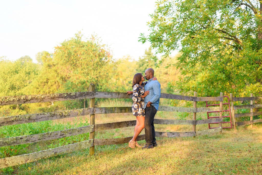 fence engagement picture