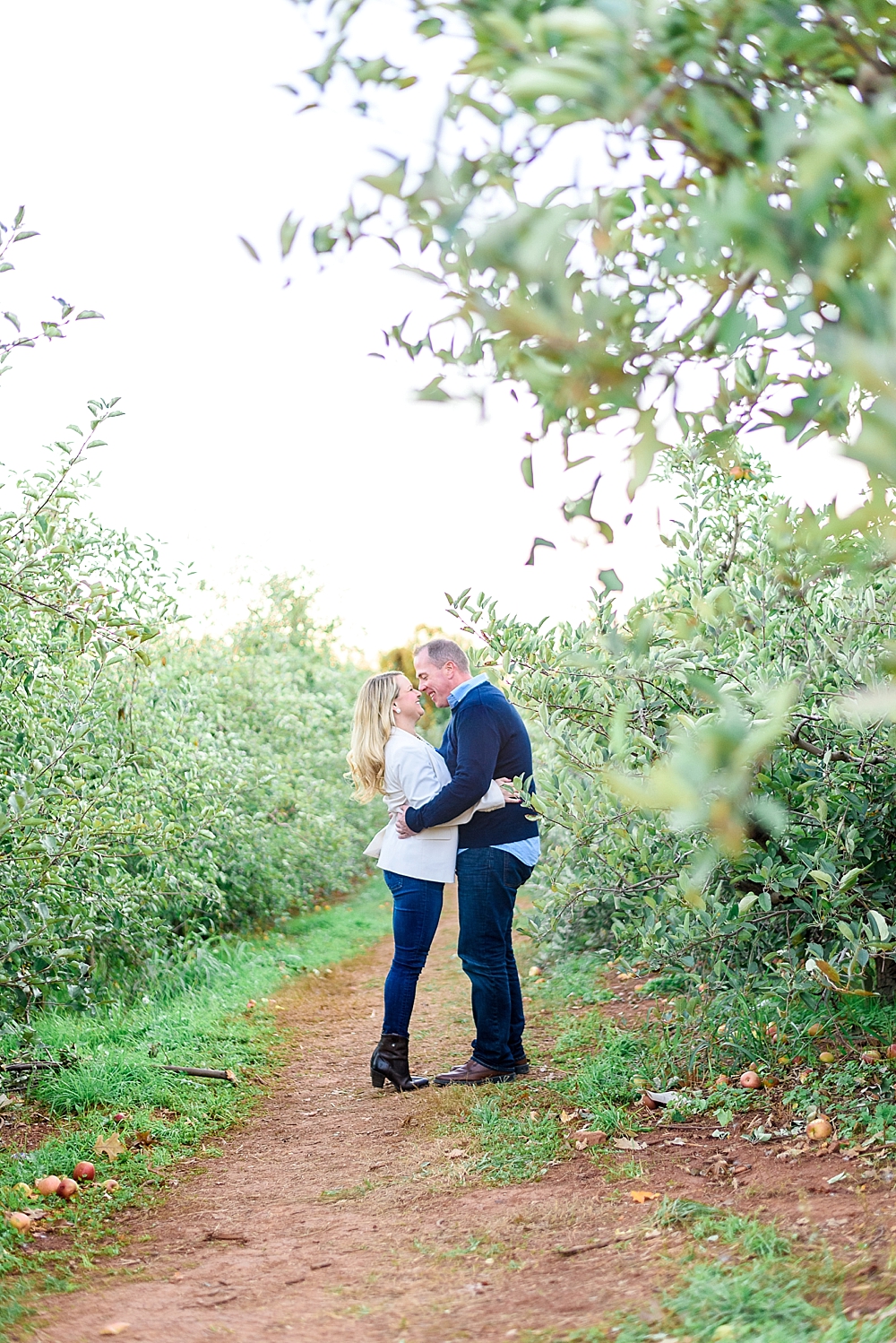 Apple Orchard Engagement Pictures