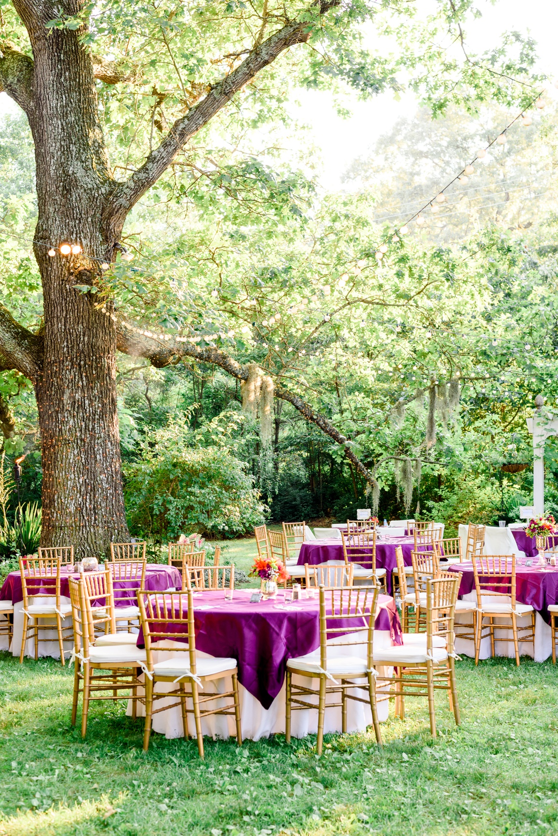 outdoor reception setting