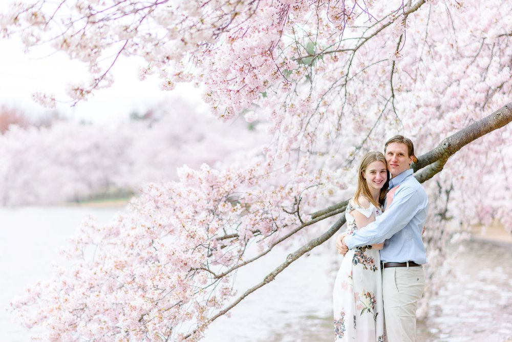 cherry blossom engagement photos in Washington DC