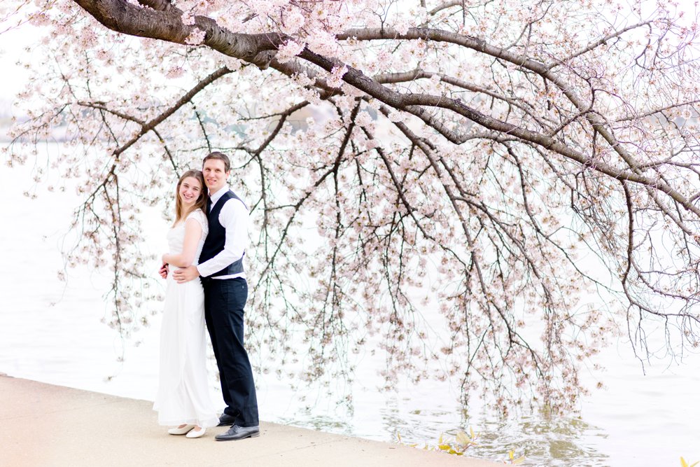 cherry blossoms wedding photos