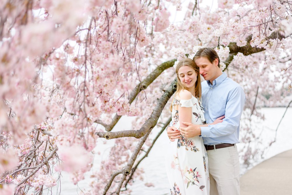 cherry blossoms engagement pics