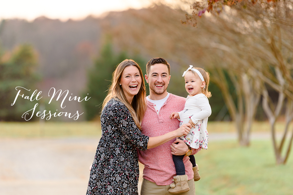 fall mini sessions in leesburg