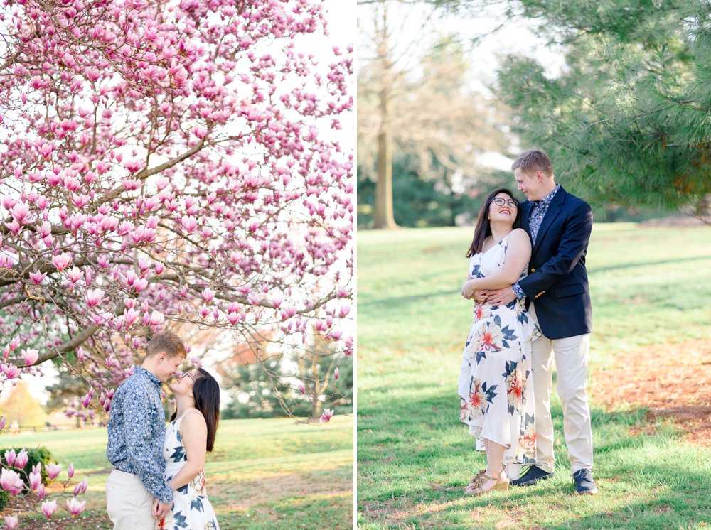 pink magnolia trees for engagement pictures