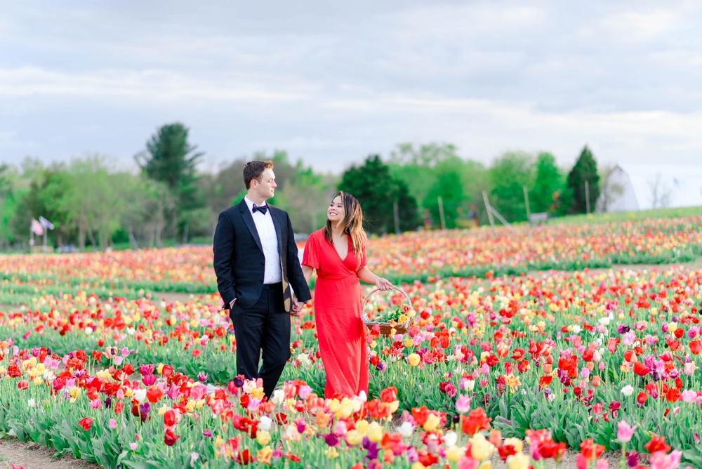 red tulip farm photoshoot
