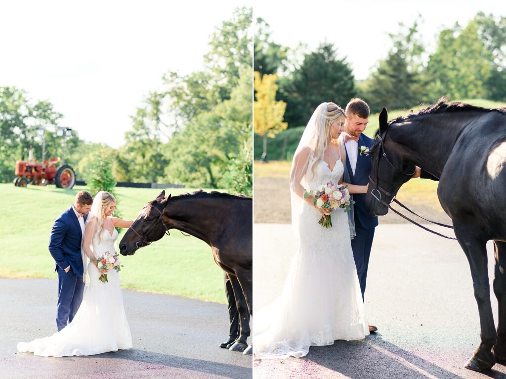 bride and groom taking photos with horses