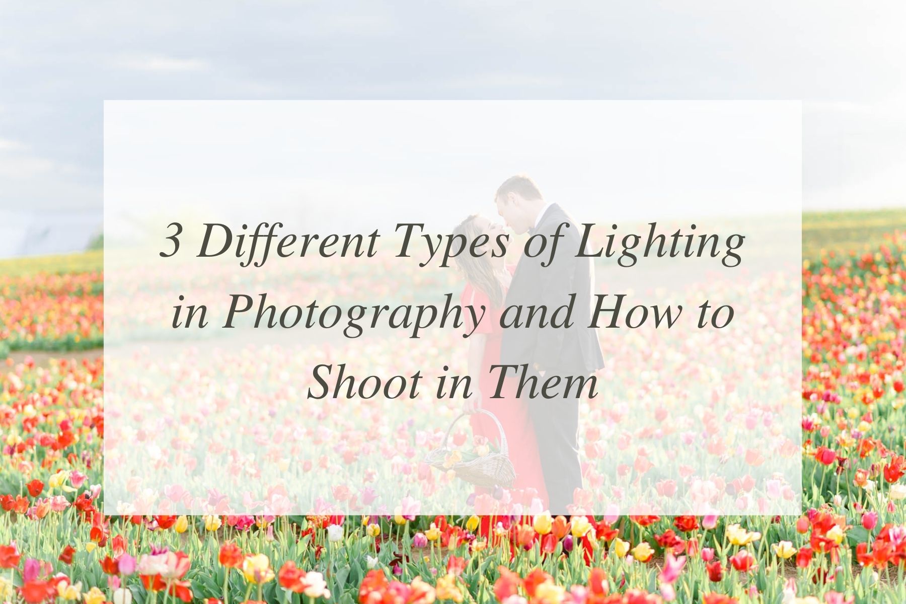 3 different types of light for great photos