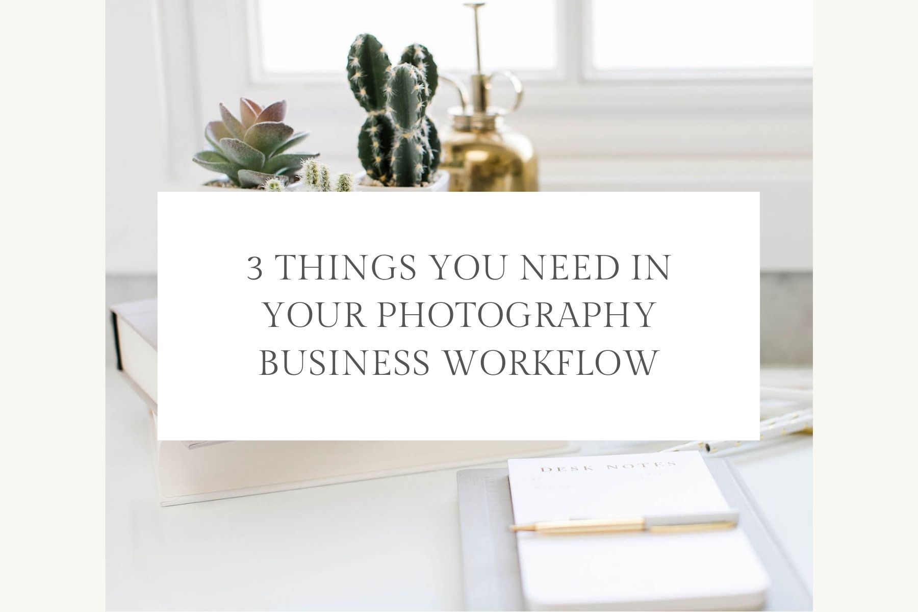Photography Business Workflow