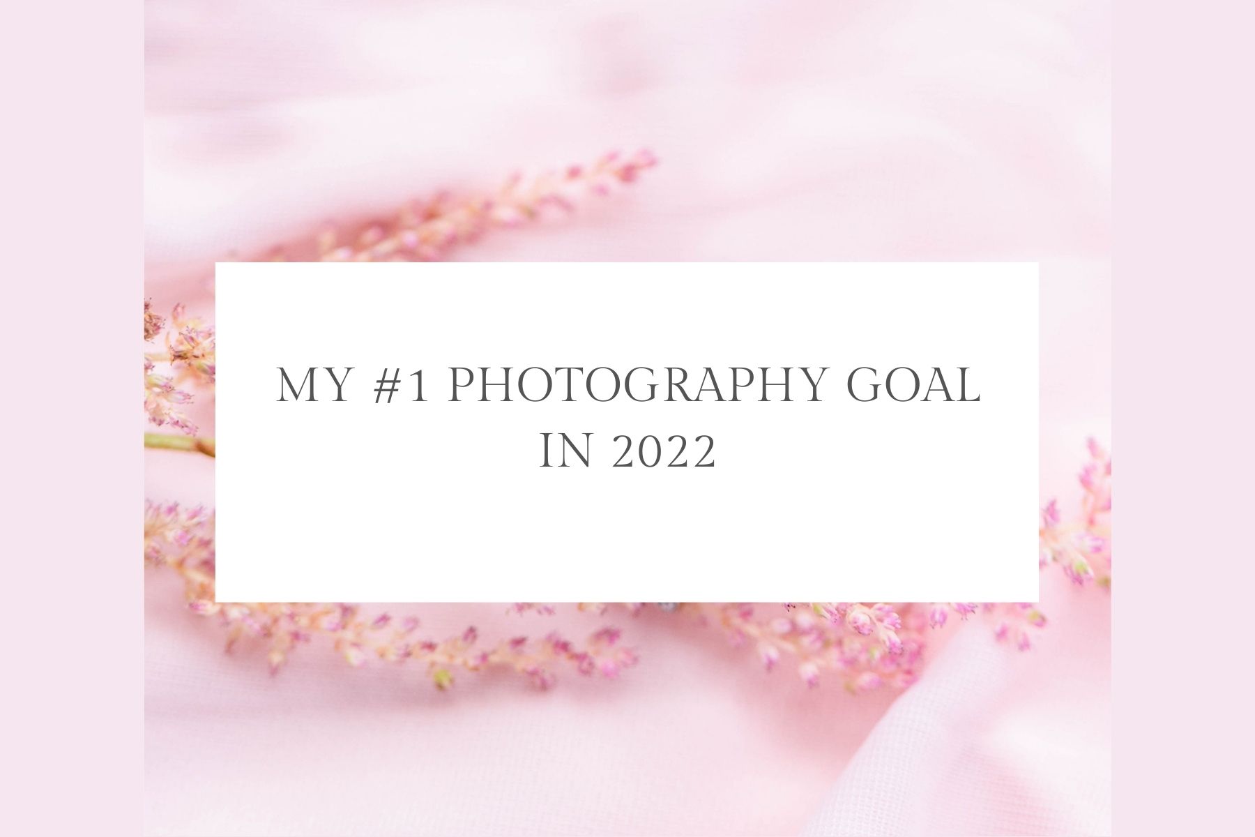 photography business goals