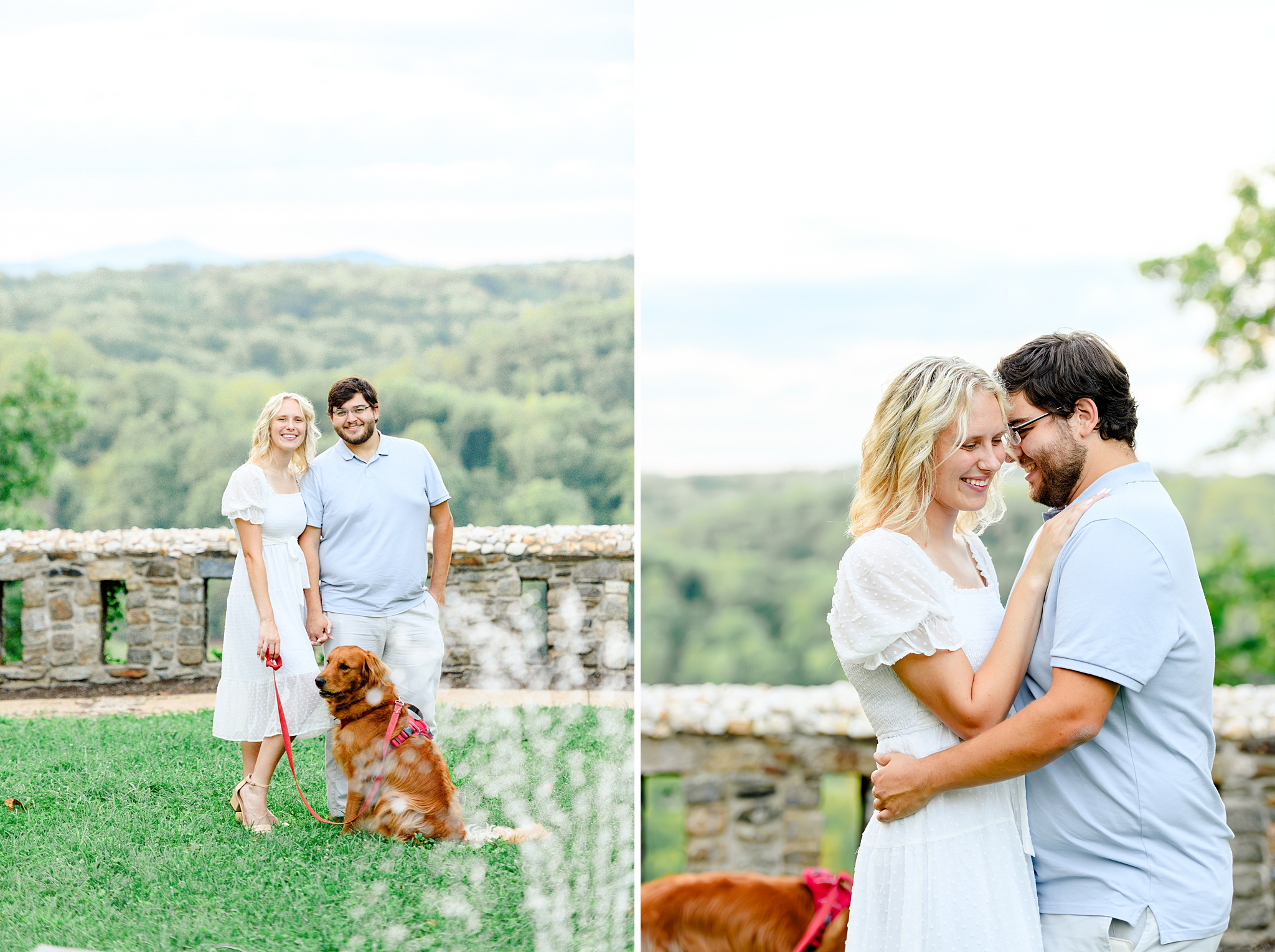 dog engagement pictures