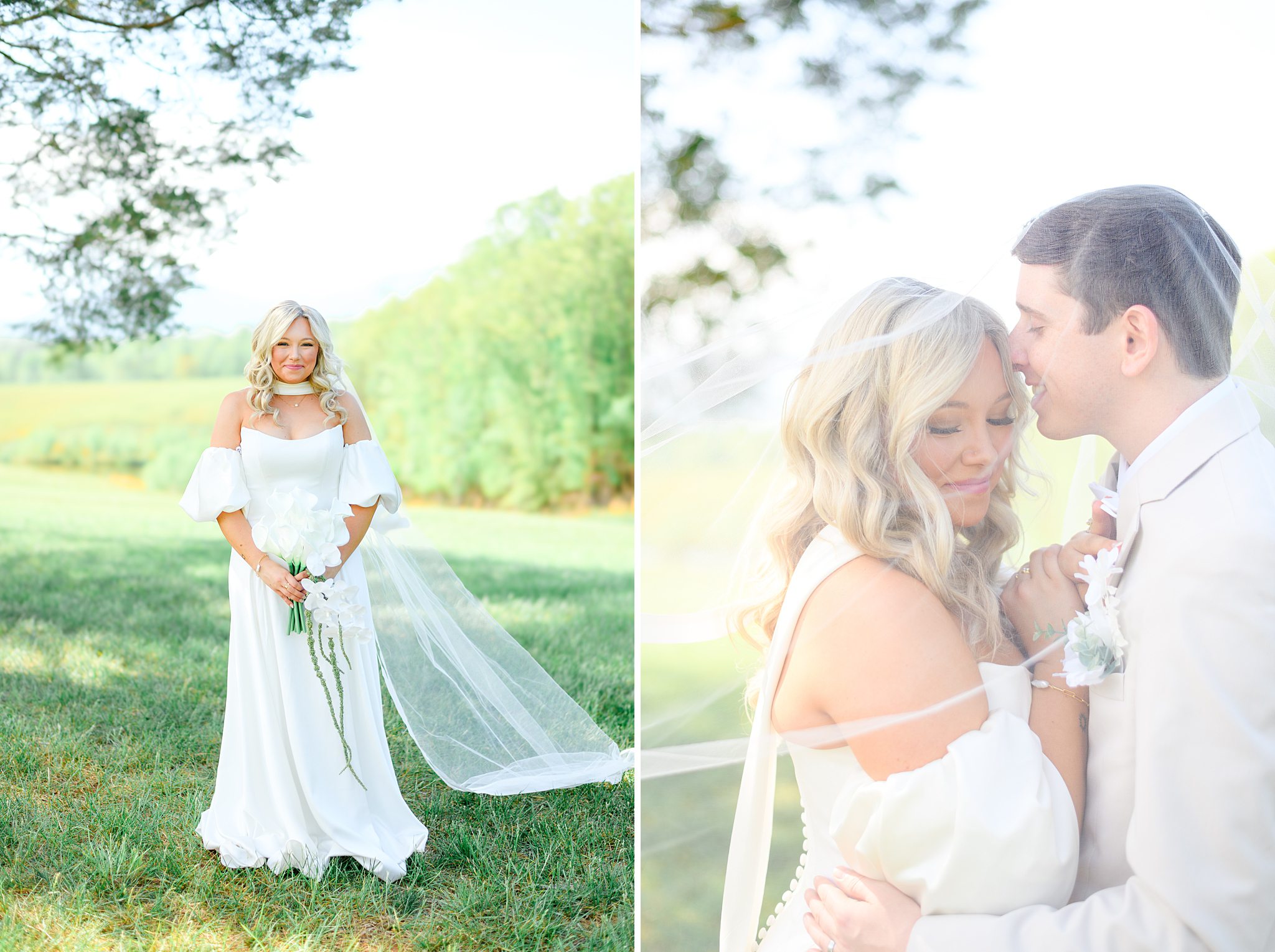 bridal portraits at cedar oaks