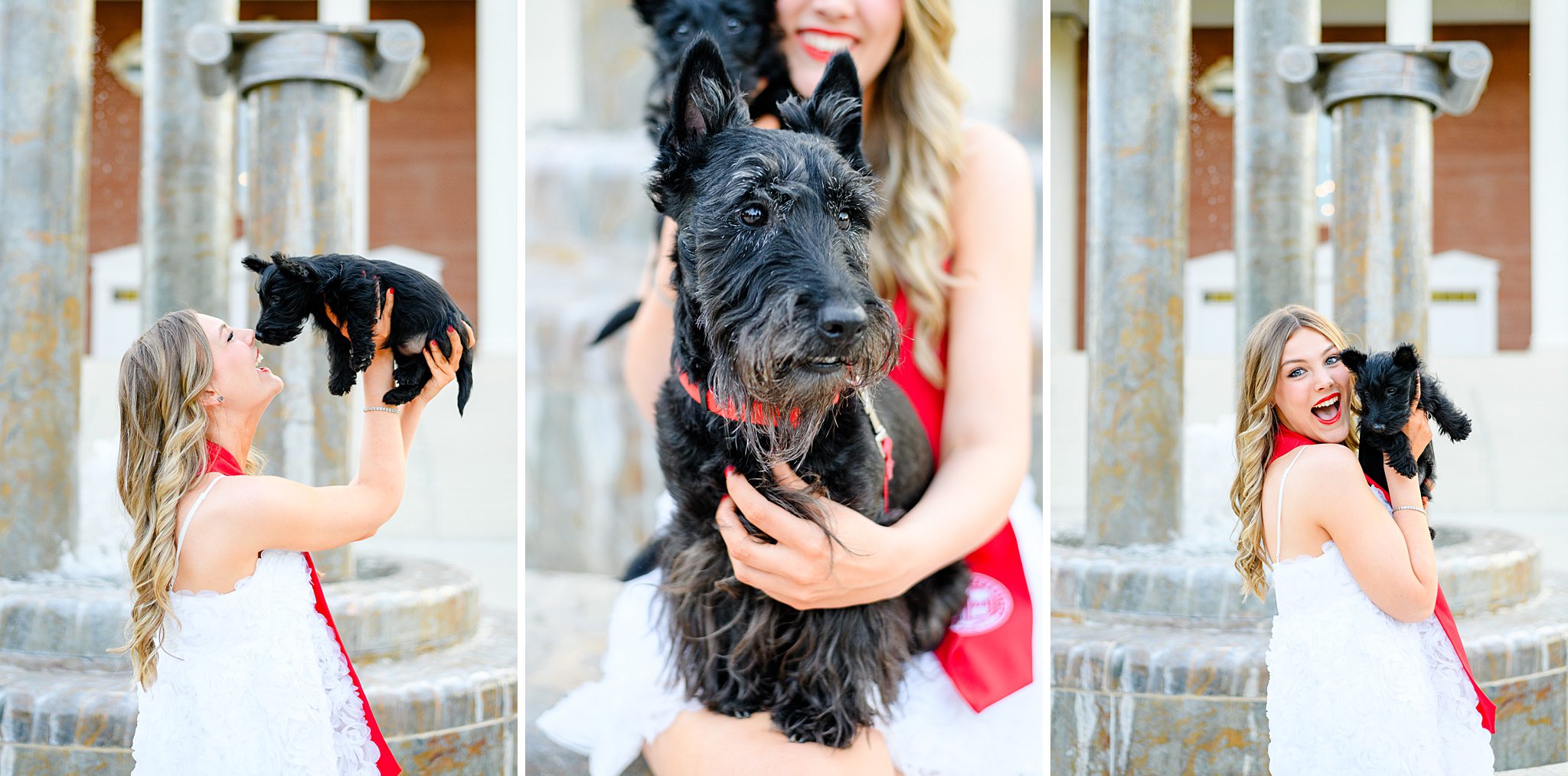 graduation photos with dogs