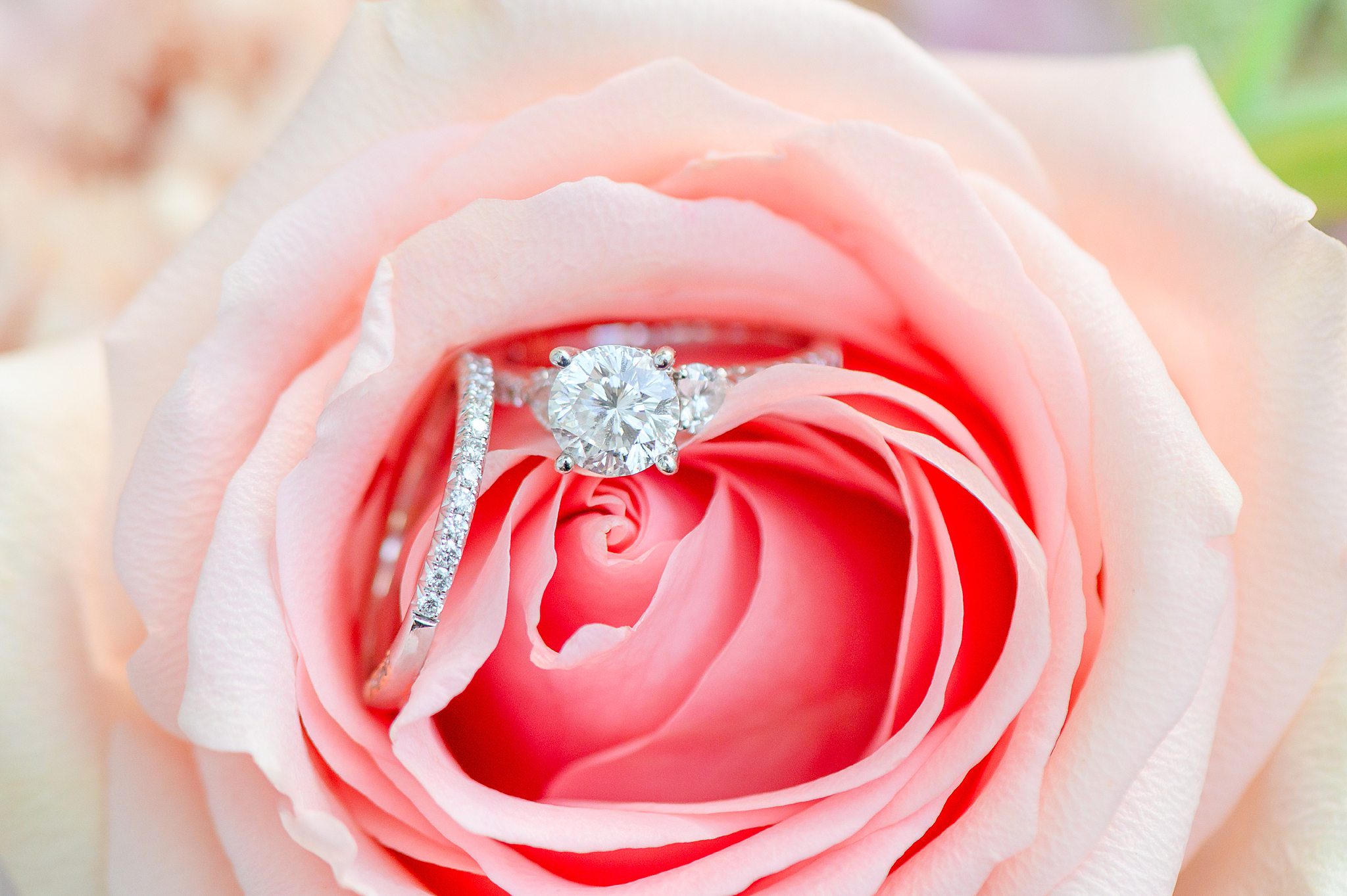 Wedding rings on soft floral background