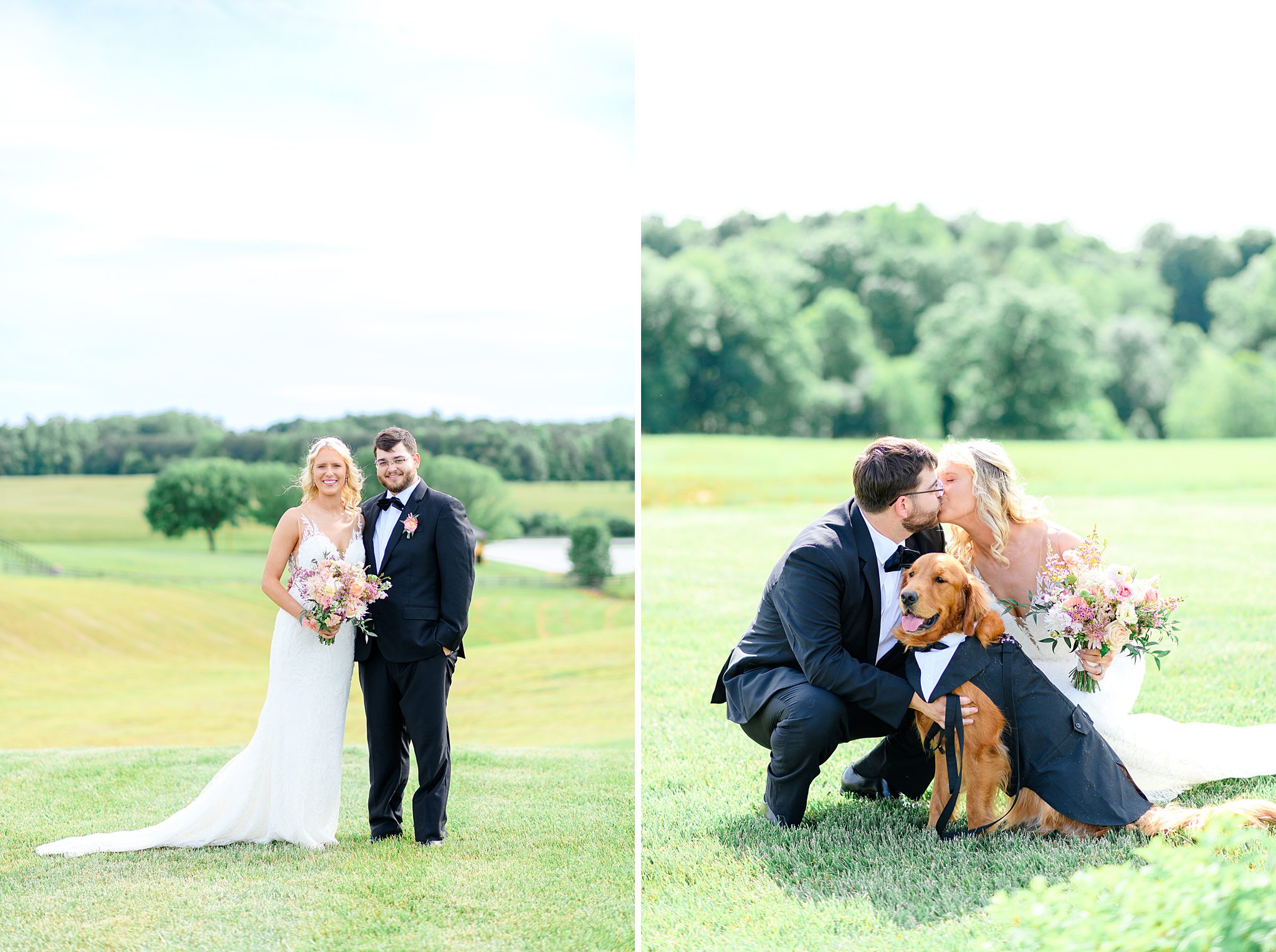 bridal portrait with dogs at Spring Grove wedding venue