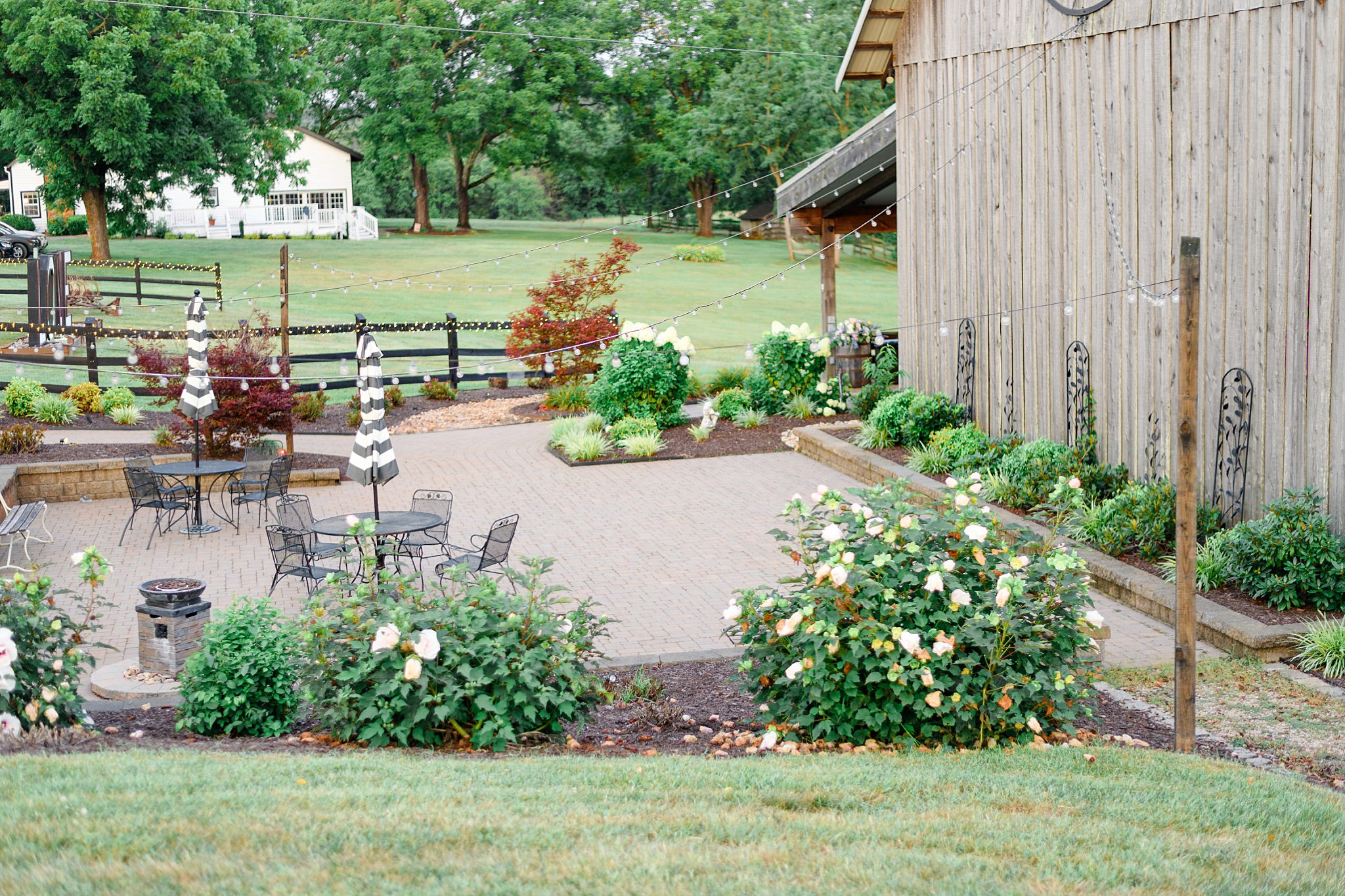 Sorella Farms wedding picture