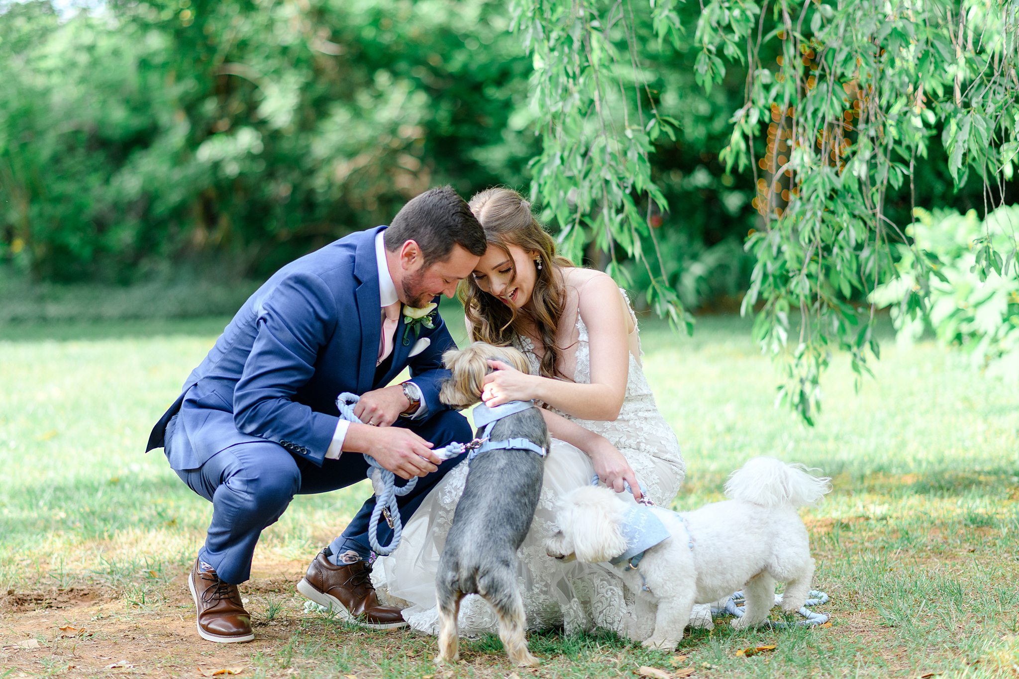 wedding photos with dogs