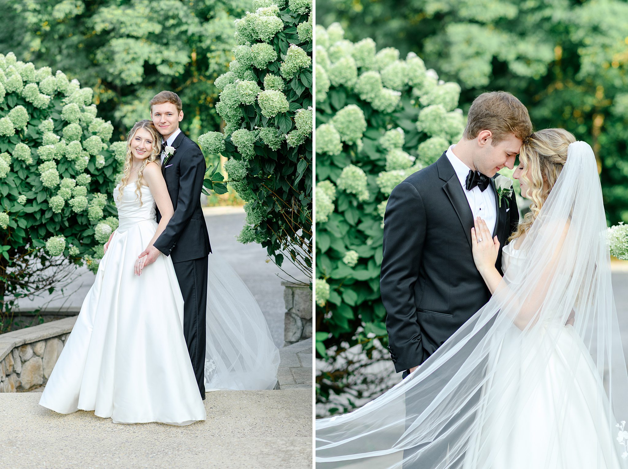 hydrangeas wedding photos